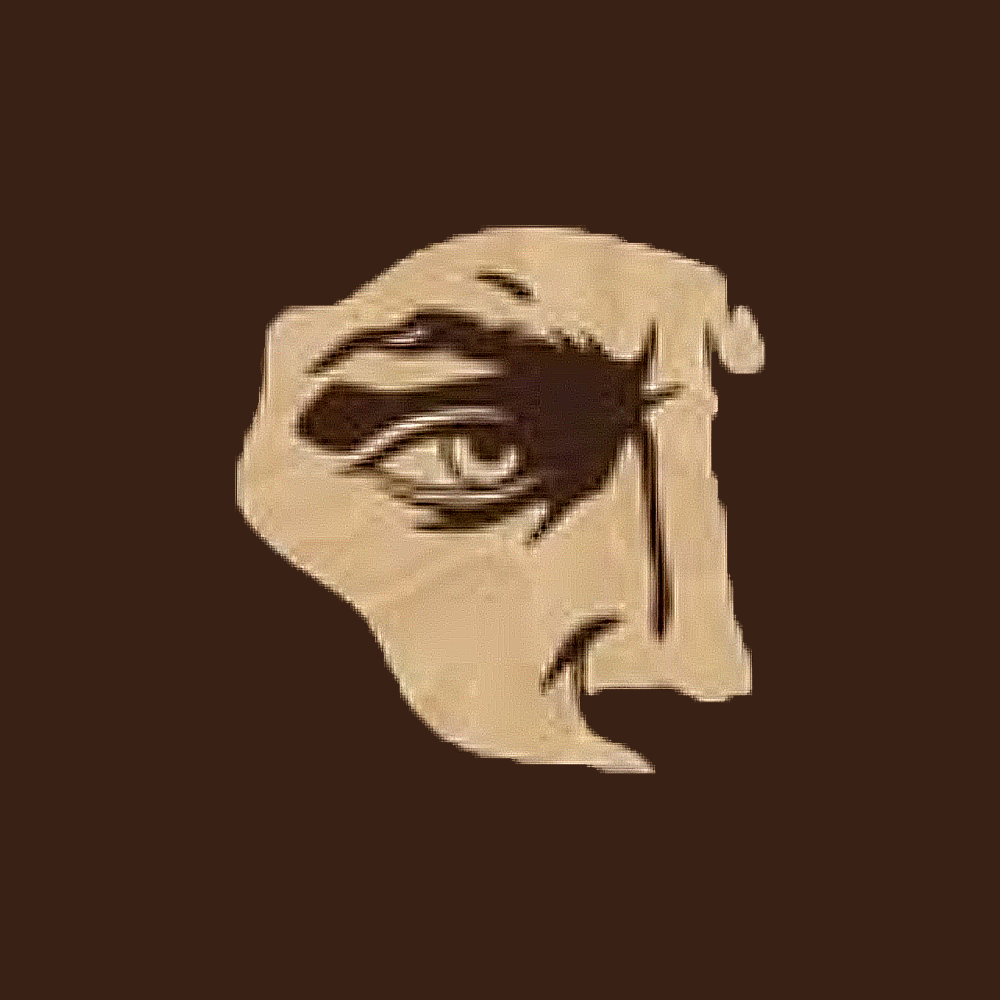 What is The Hype About